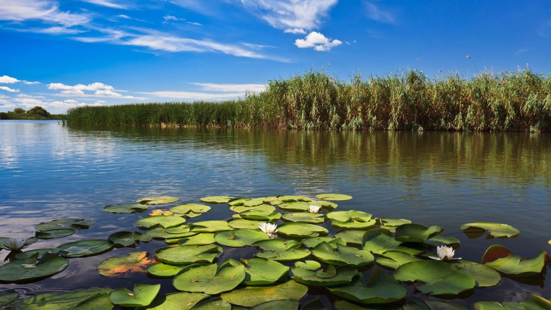 Acțiuni de sustenabilitate în Lunca inundabilă a Dunării de Jos şi Delta Dunării cu finanţare GIZ-EUKI Germania, conduse de INCDDD Tulcea